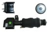RENAU 5010228849 Bellow, driver cab suspension